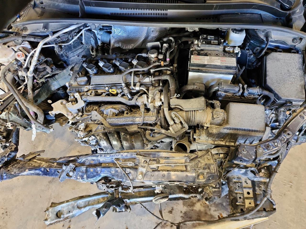 2023 TOYOTA COROLLA