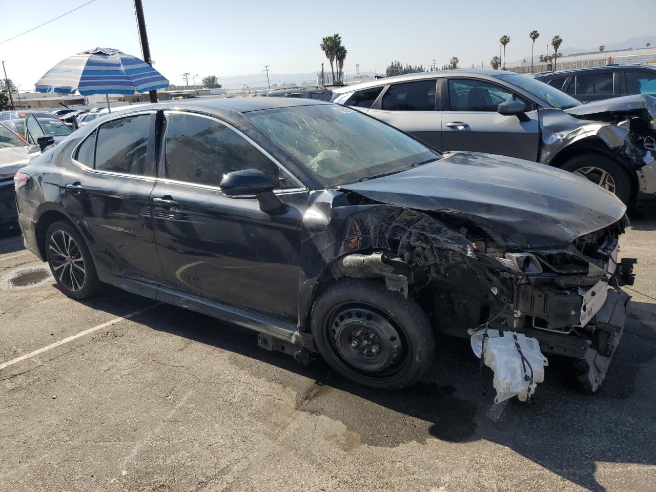 2024 TOYOTA CAMRY