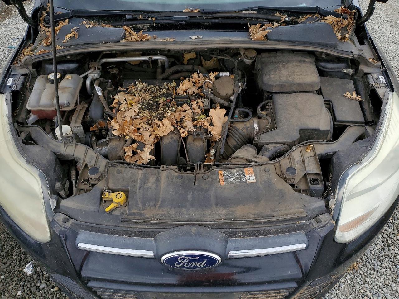 2014 FORD FOCUS