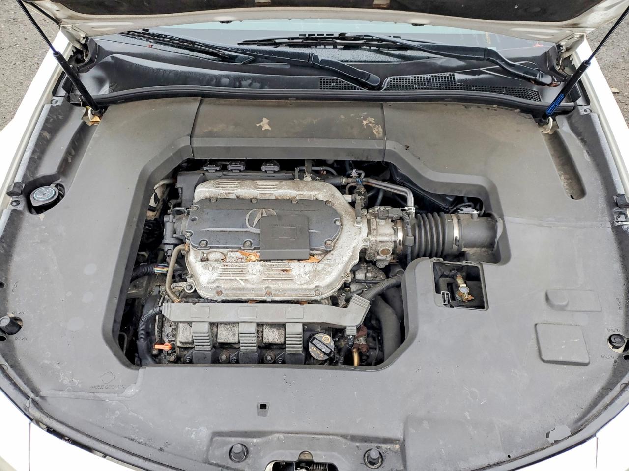 2013 ACURA TL