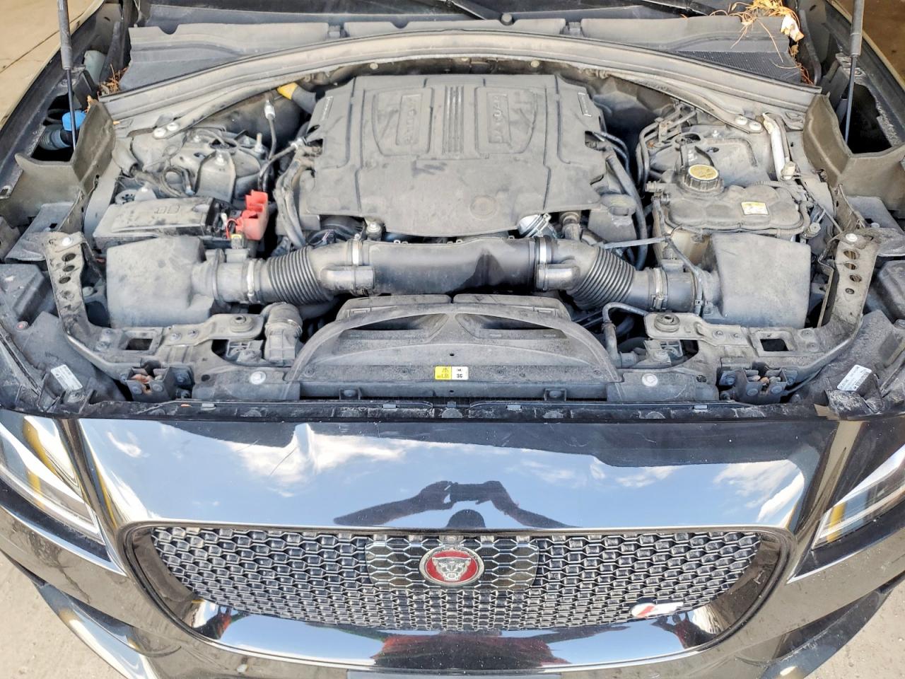 2019 JAGUAR F-PACE