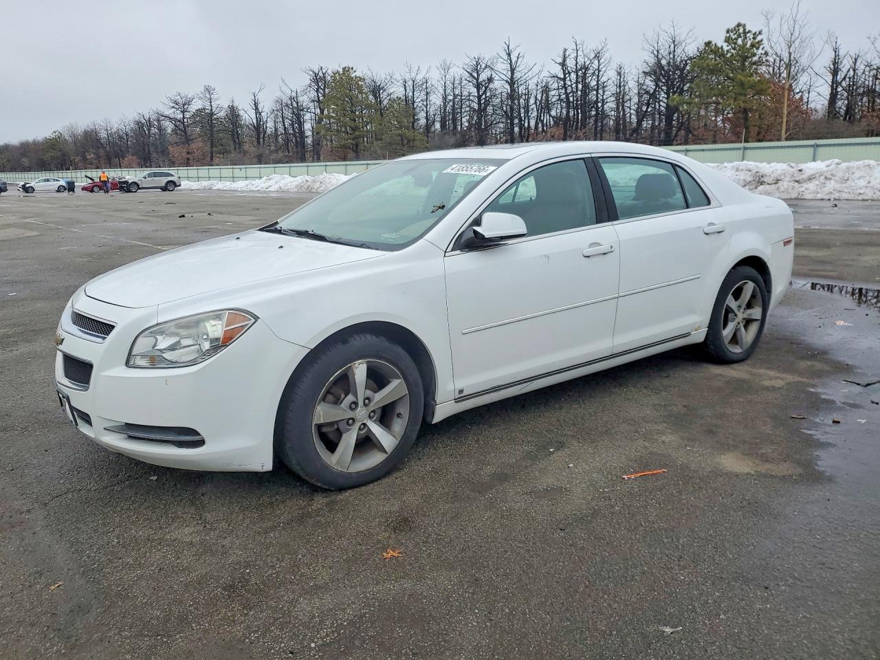 2009 CHEVROLET MALIBU