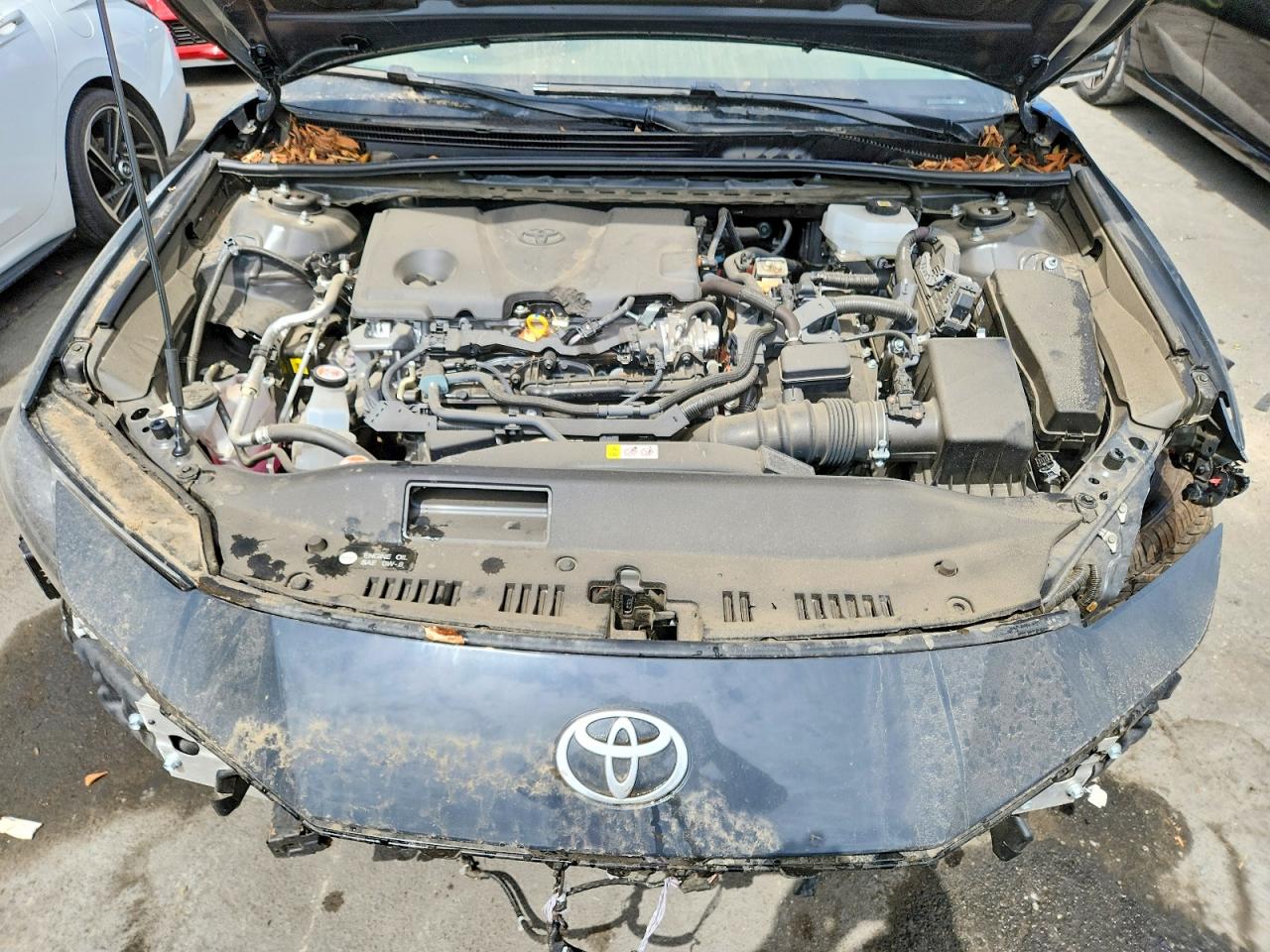 2025 TOYOTA CAMRY