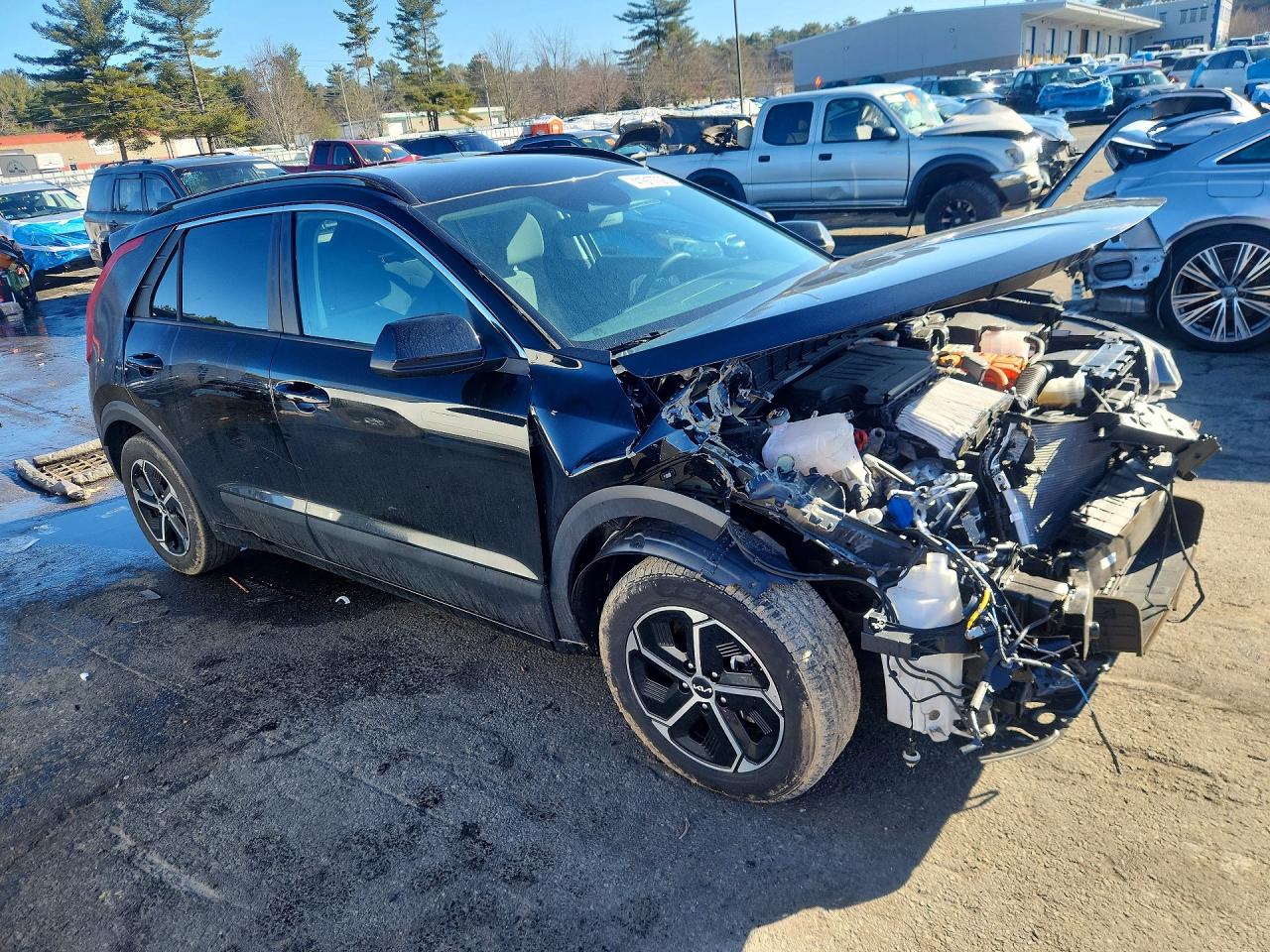 2024 KIA NIRO