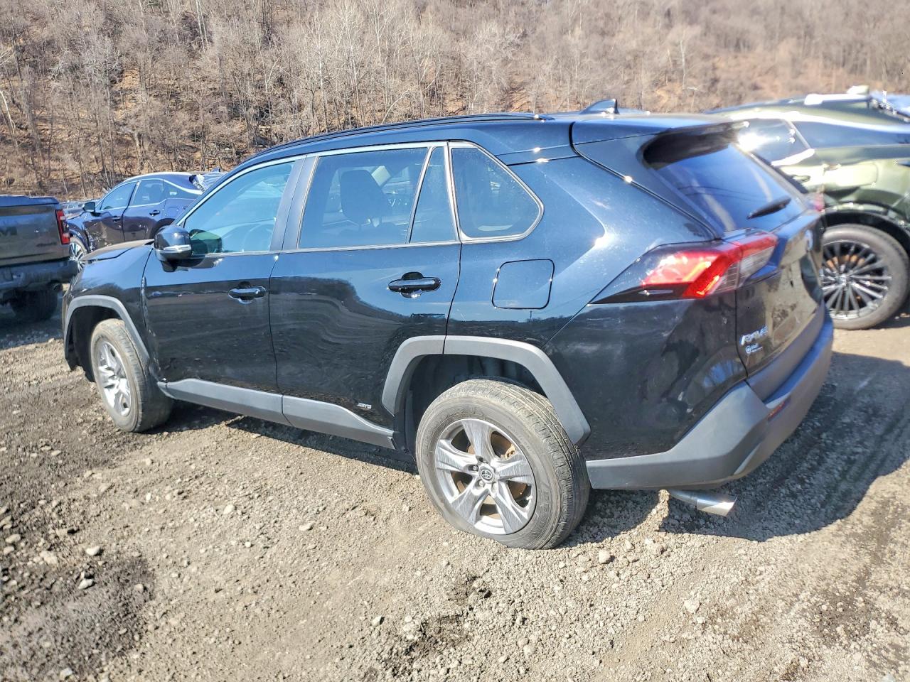 2024 TOYOTA RAV4