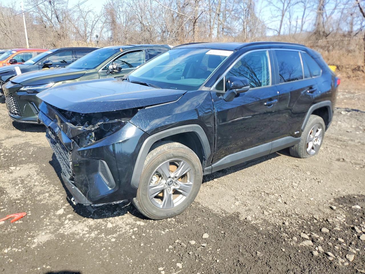 2024 TOYOTA RAV4