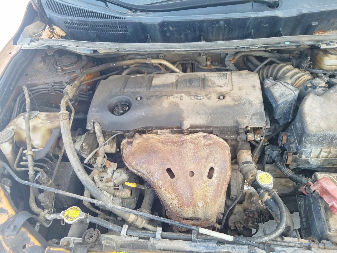 2010 TOYOTA MATRIX