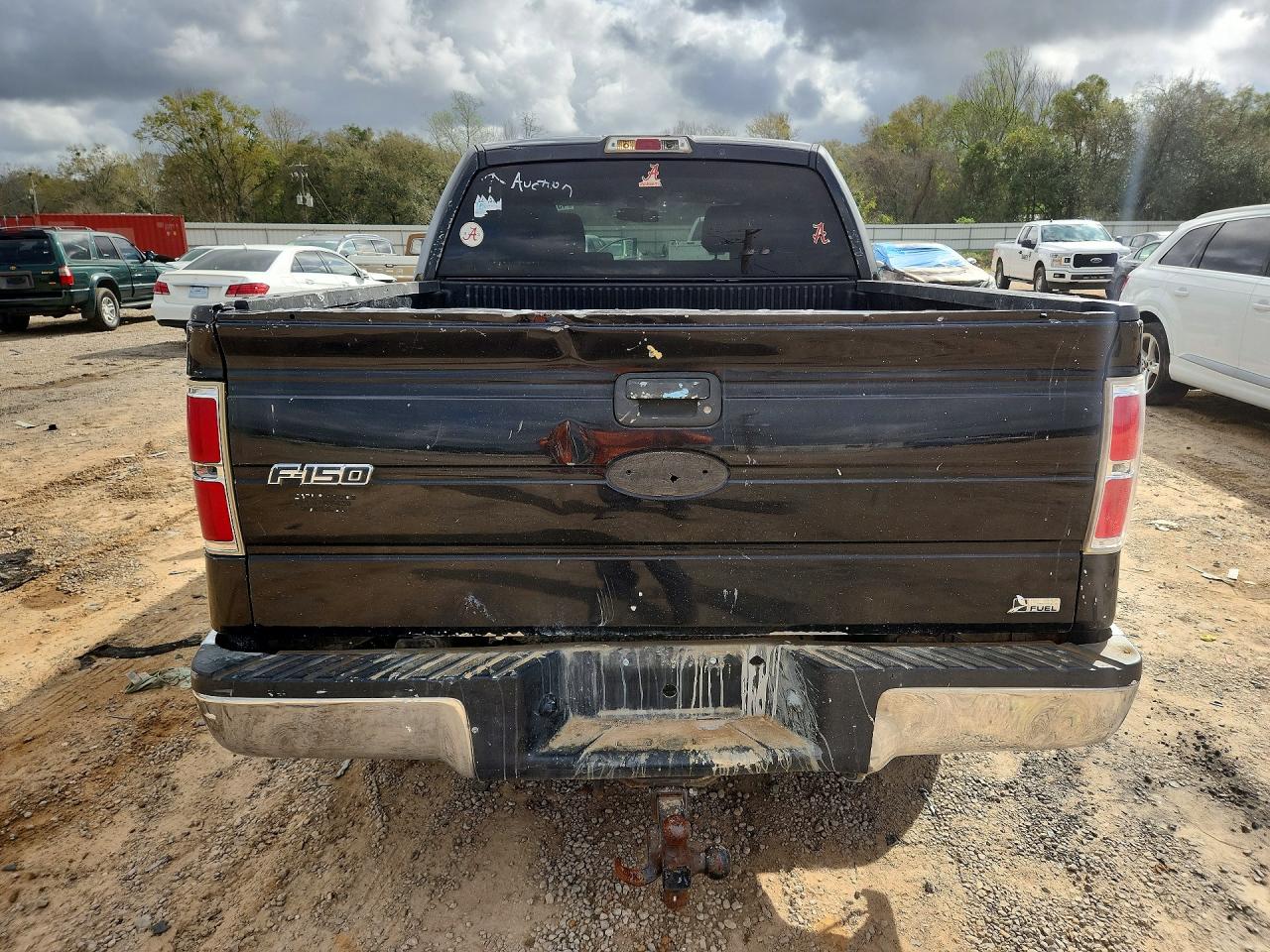 2010 FORD F150