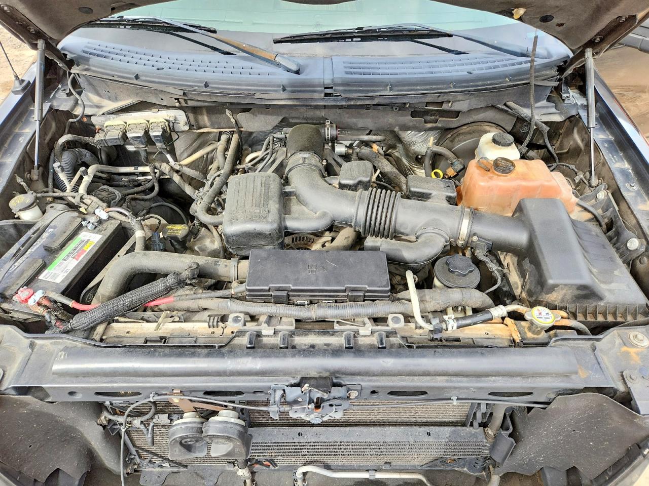 2010 FORD F150