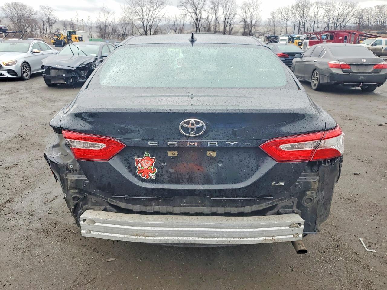 2019 TOYOTA CAMRY
