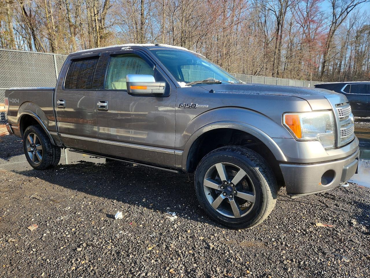 2010 FORD F150
