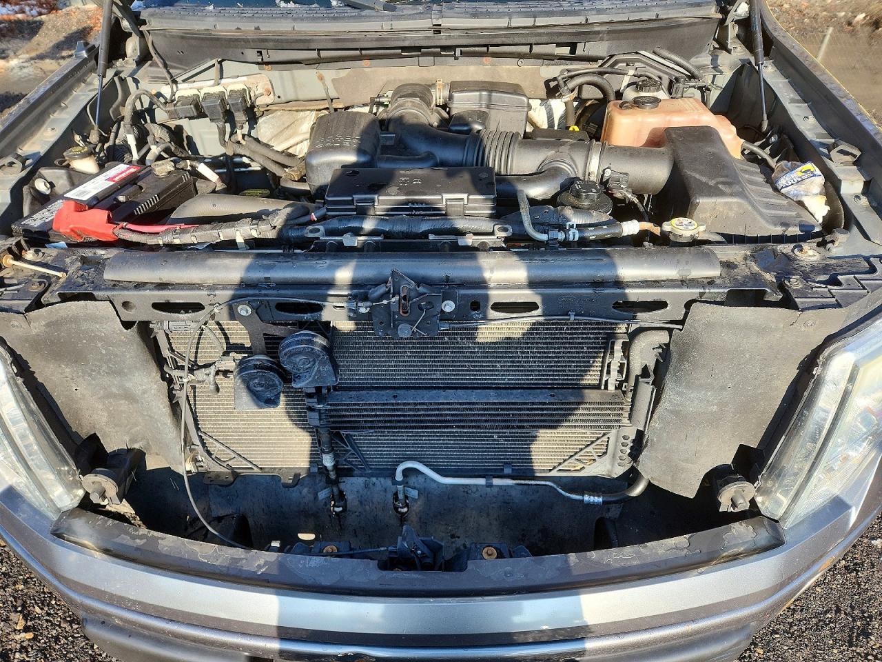 2010 FORD F150
