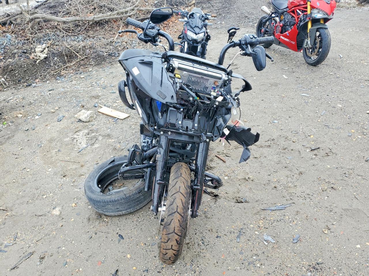 2024 HARLEY-DAVIDSON FL