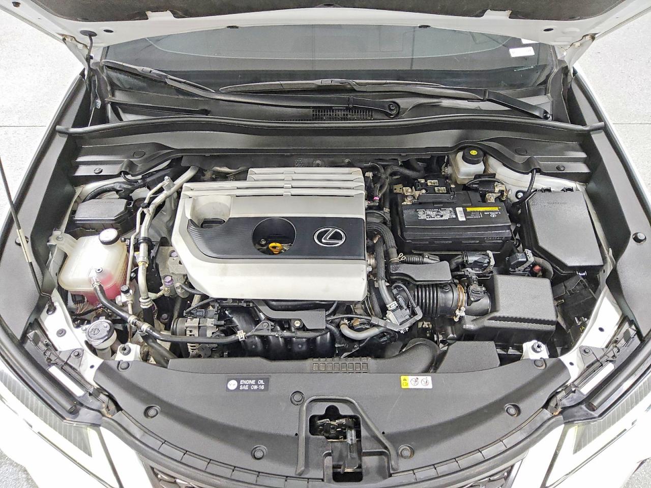 2019 LEXUS