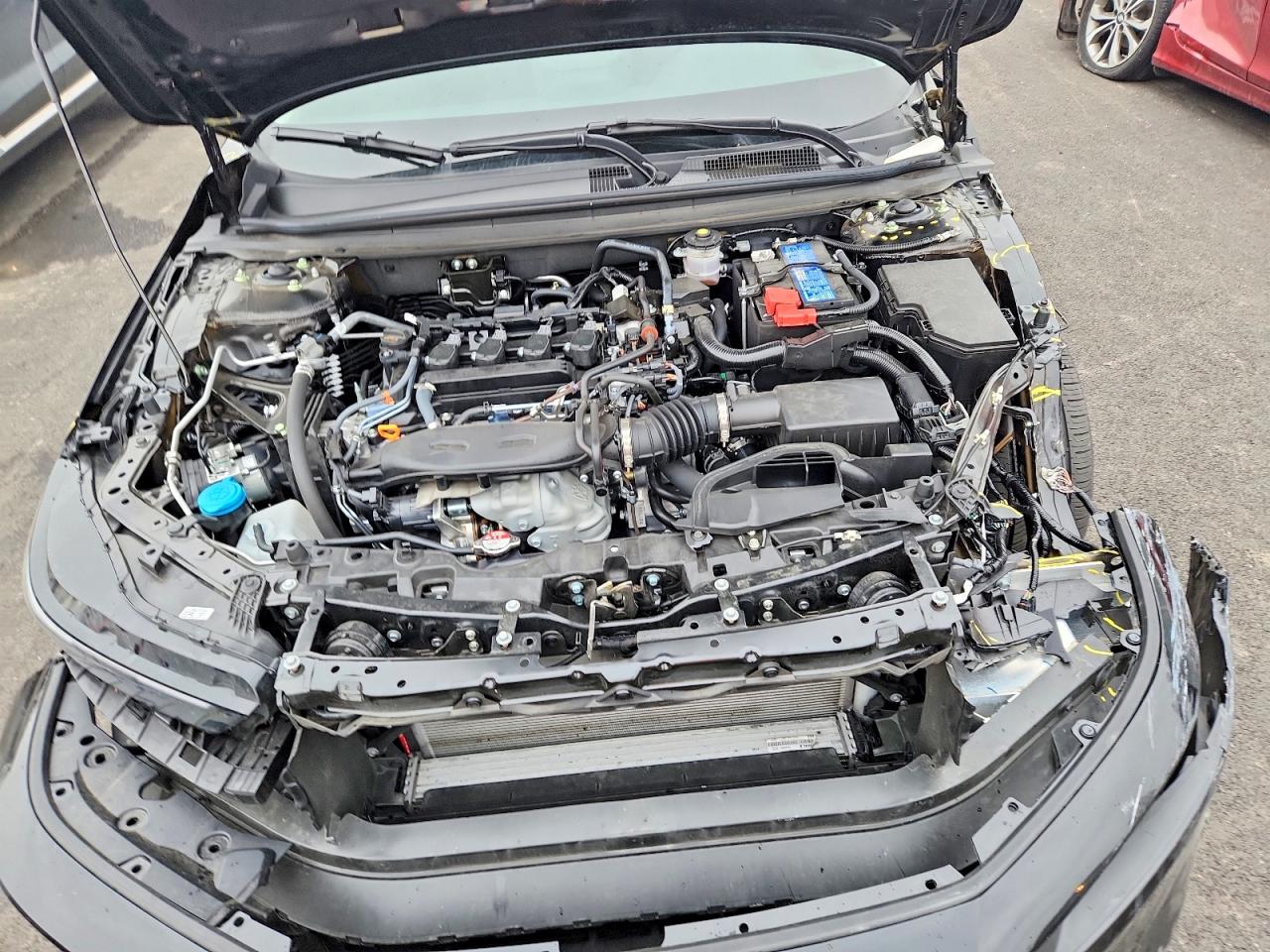 2025 HONDA ACCORD