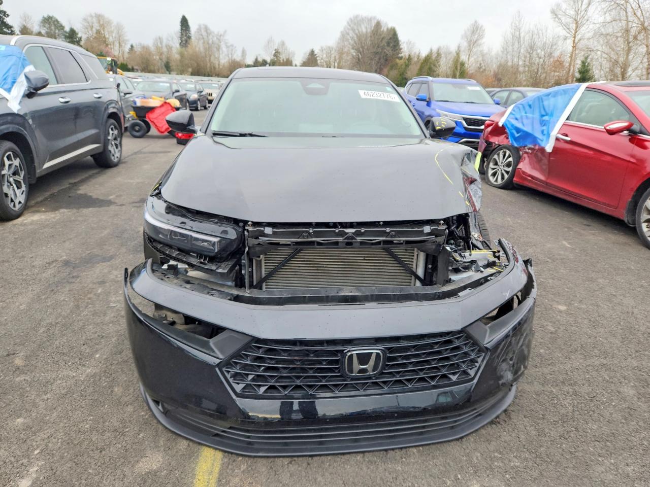 2025 HONDA ACCORD