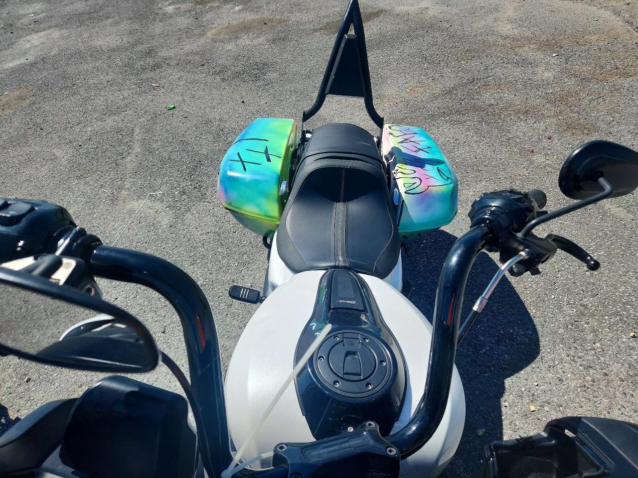 2024 HARLEY-DAVIDSON FL