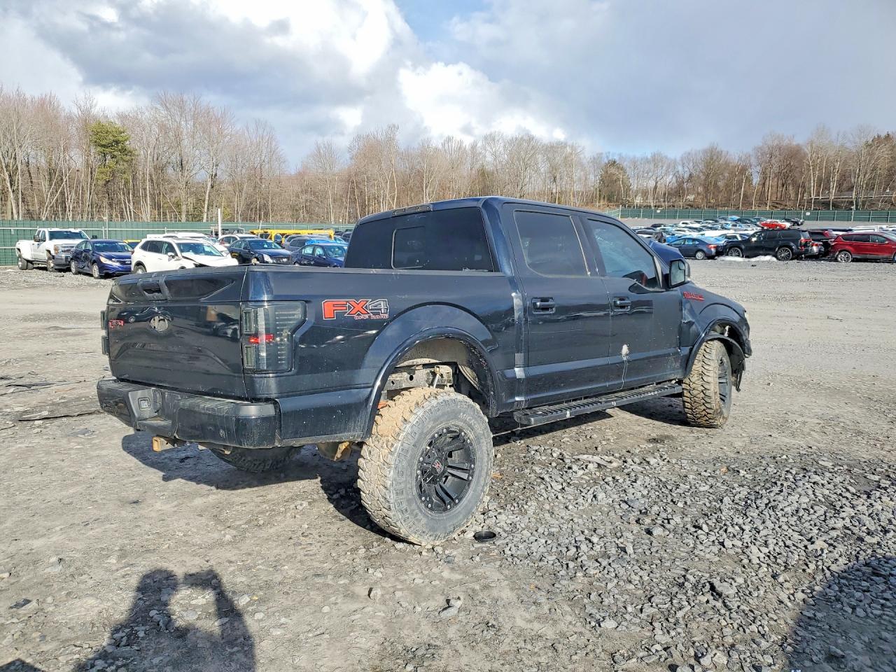 2017 FORD F150