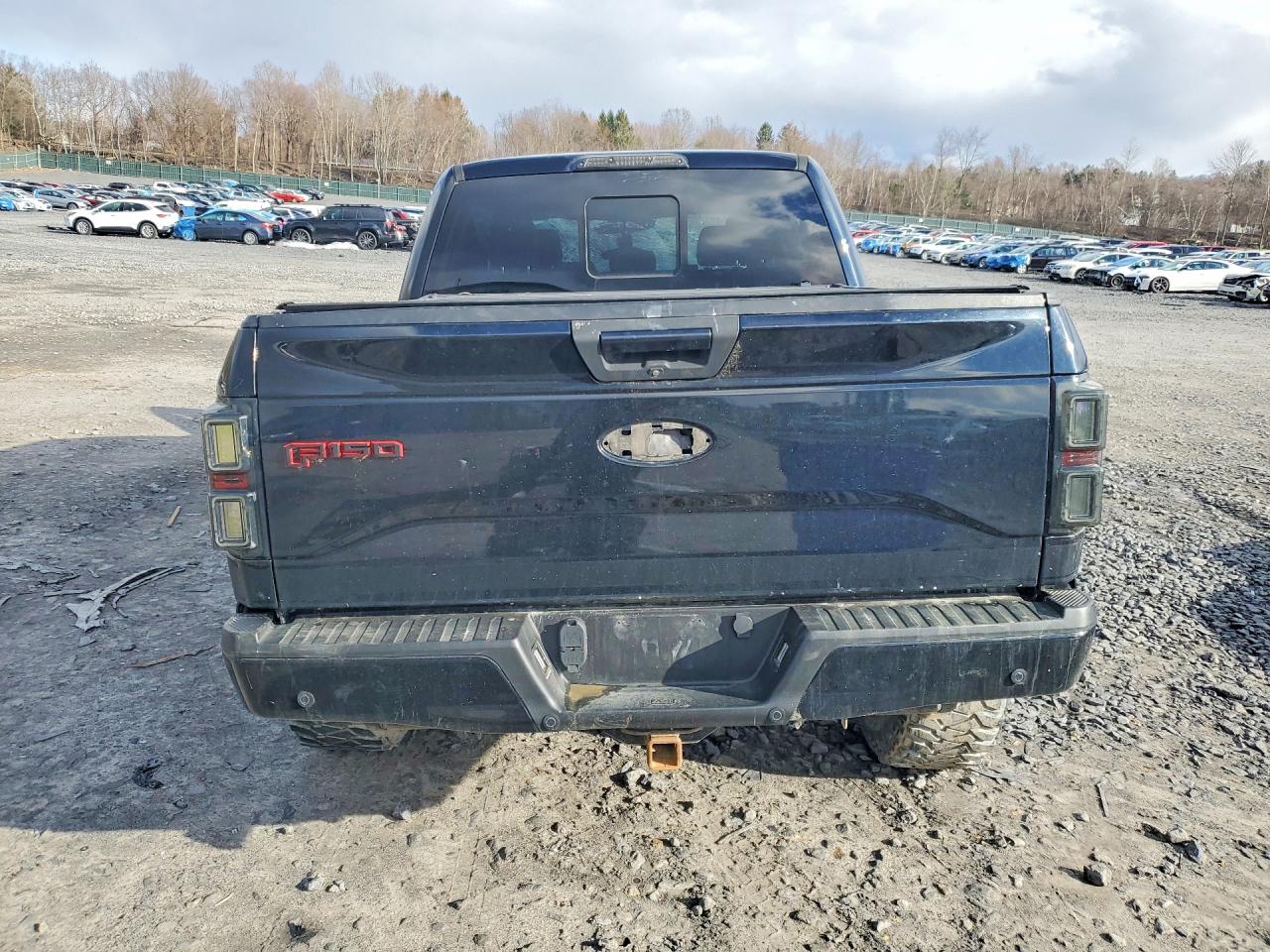 2017 FORD F150