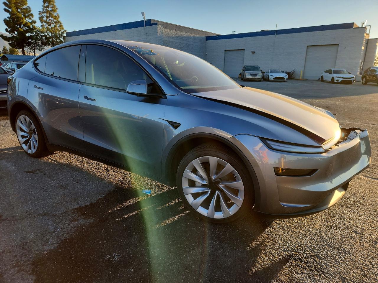 2026 TESLA MODEL Y