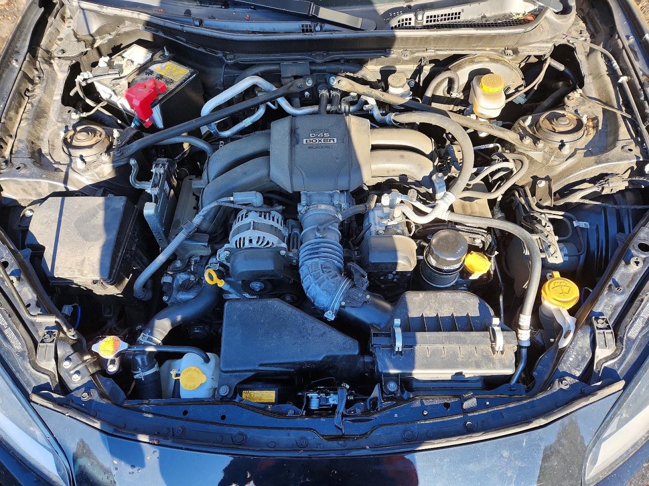 2023 TOYOTA