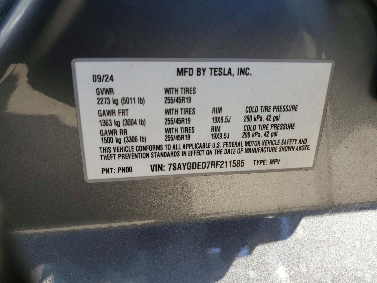 2024 TESLA MODEL Y