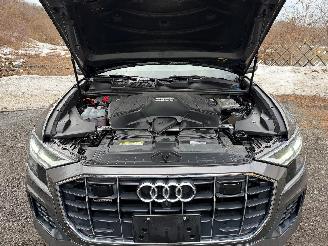 2019 AUDI Q8