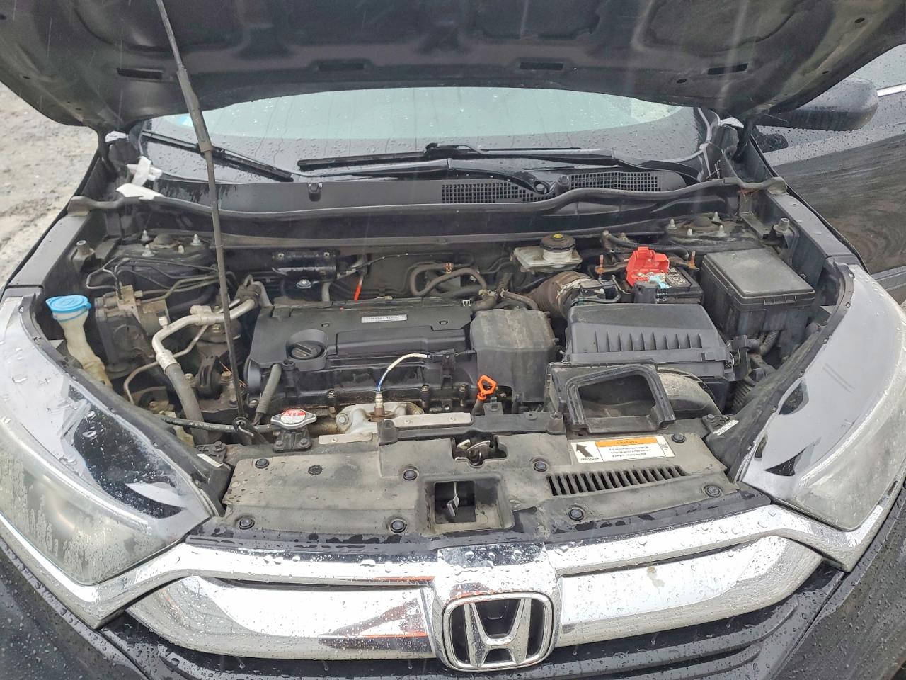 2019 HONDA CRV