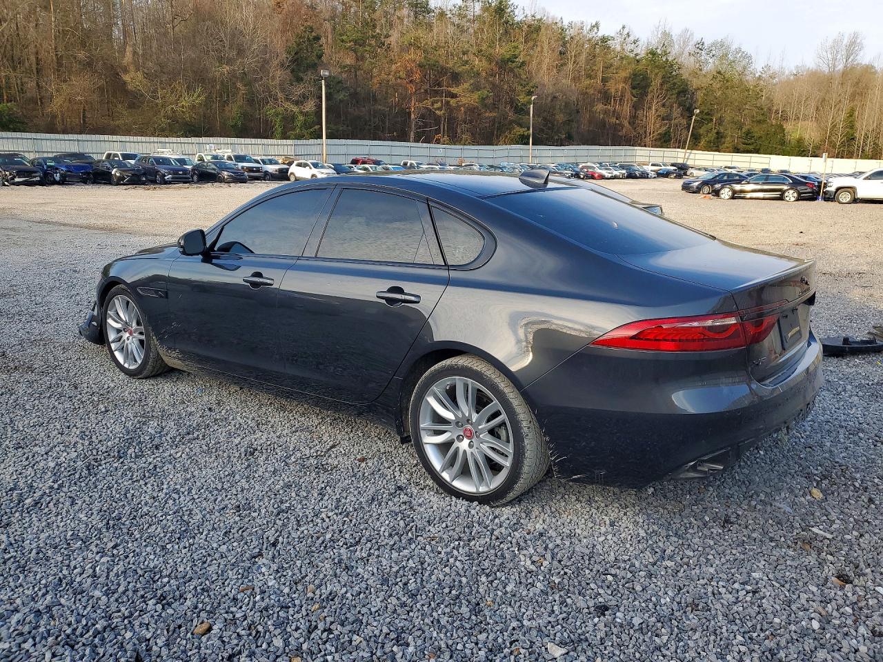 2023 JAGUAR XF