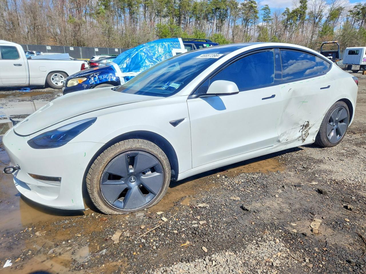 2021 TESLA MODEL 3