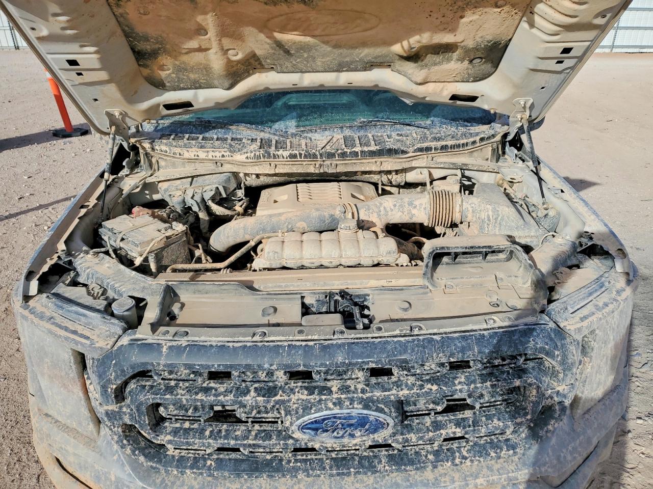 2023 FORD F150