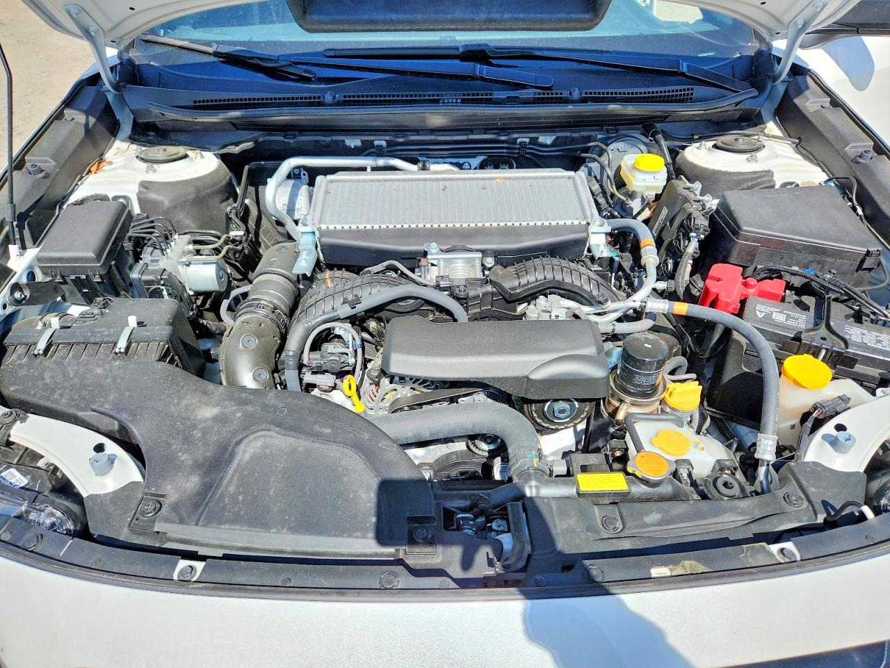 2025 SUBARU OUTBACK
