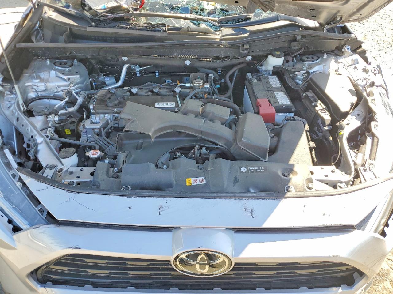 2024 TOYOTA RAV4
