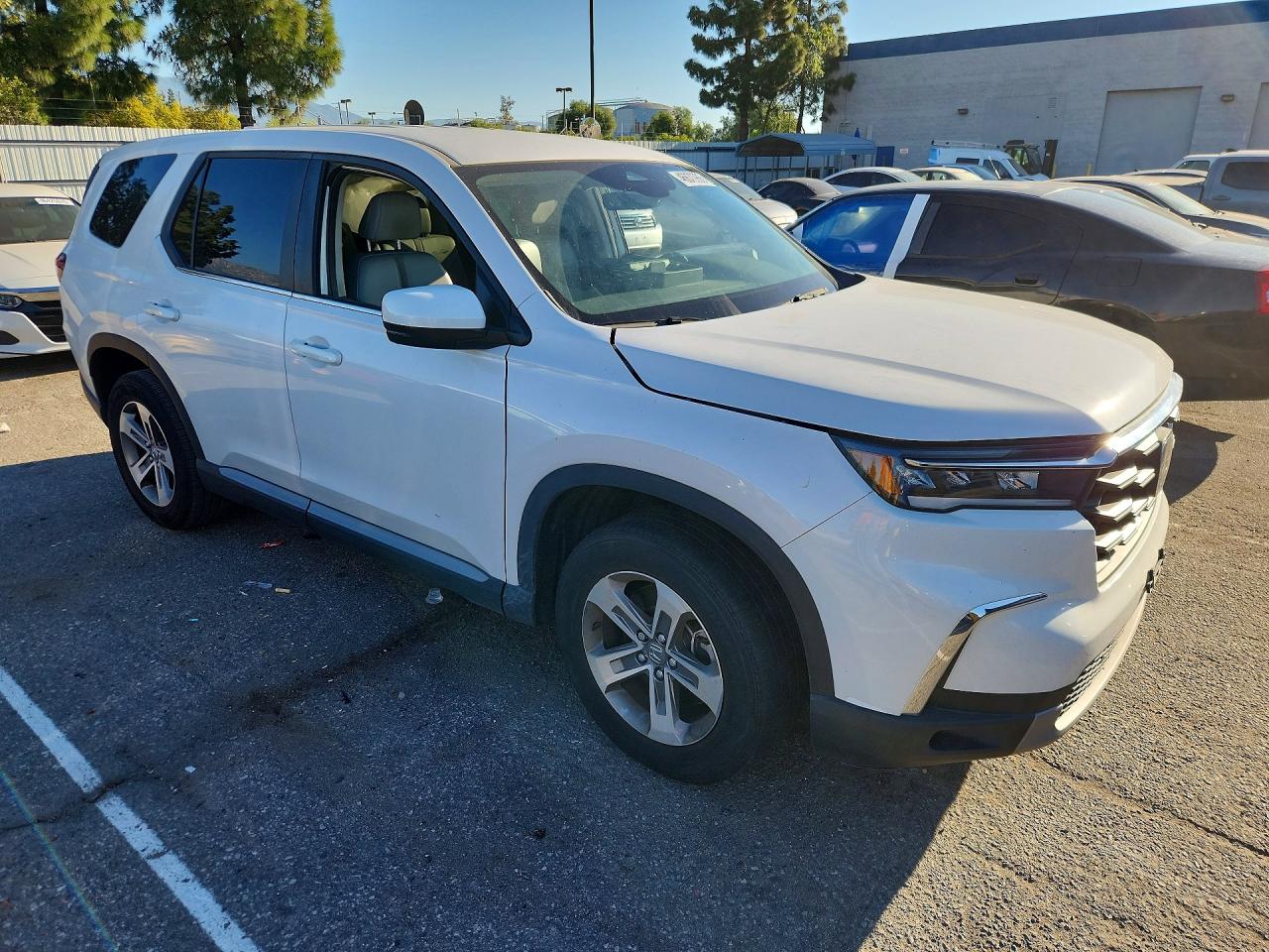 2024 HONDA PILOT