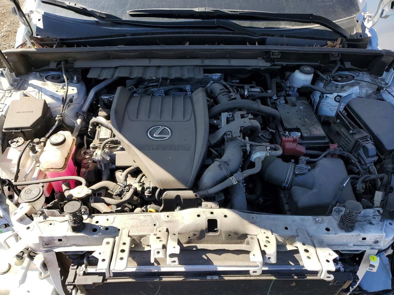 2022 LEXUS