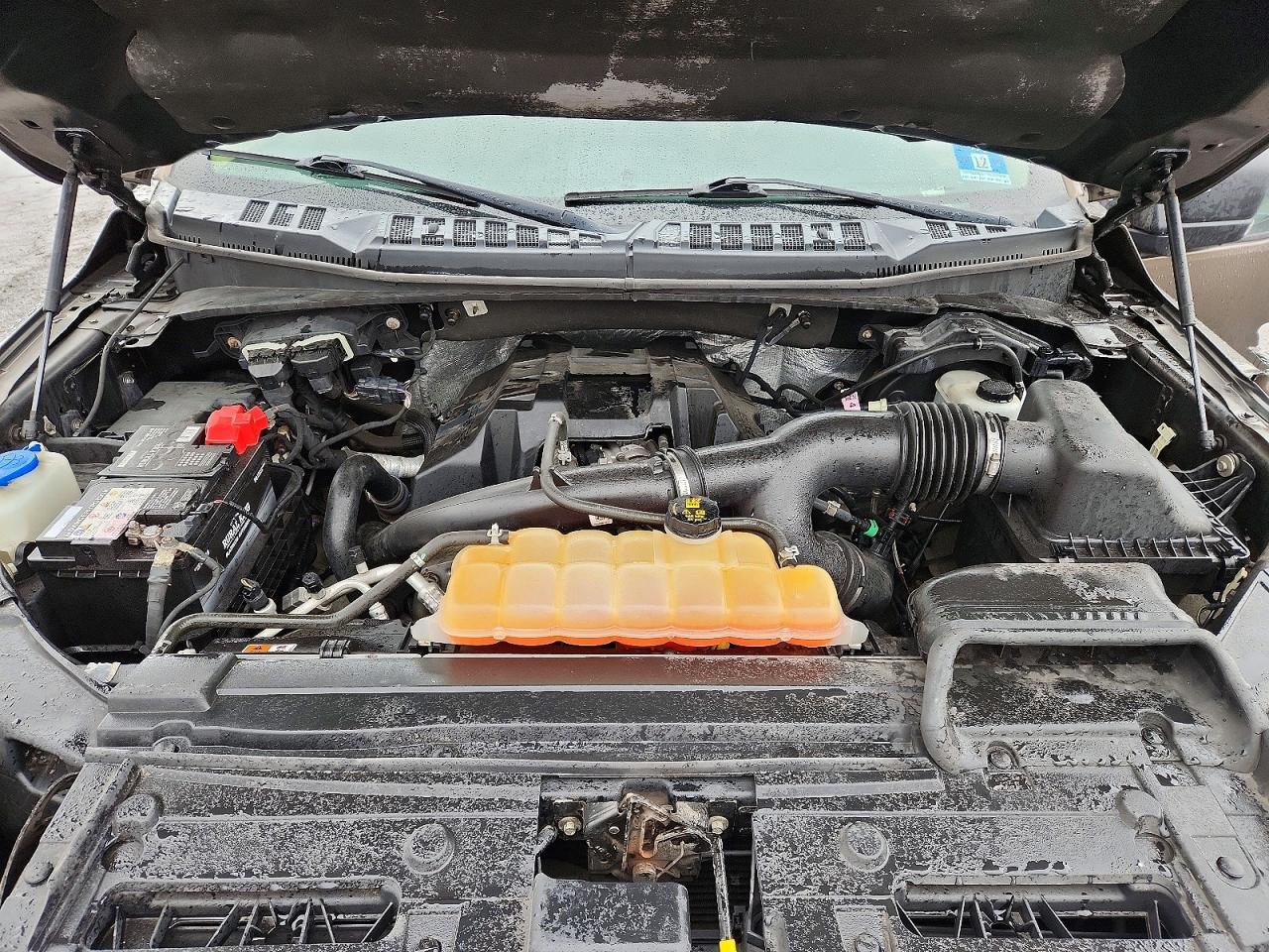 2015 FORD F150