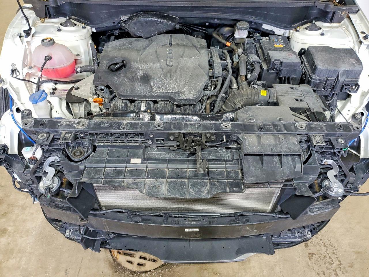 2024 KIA SPORTAGE