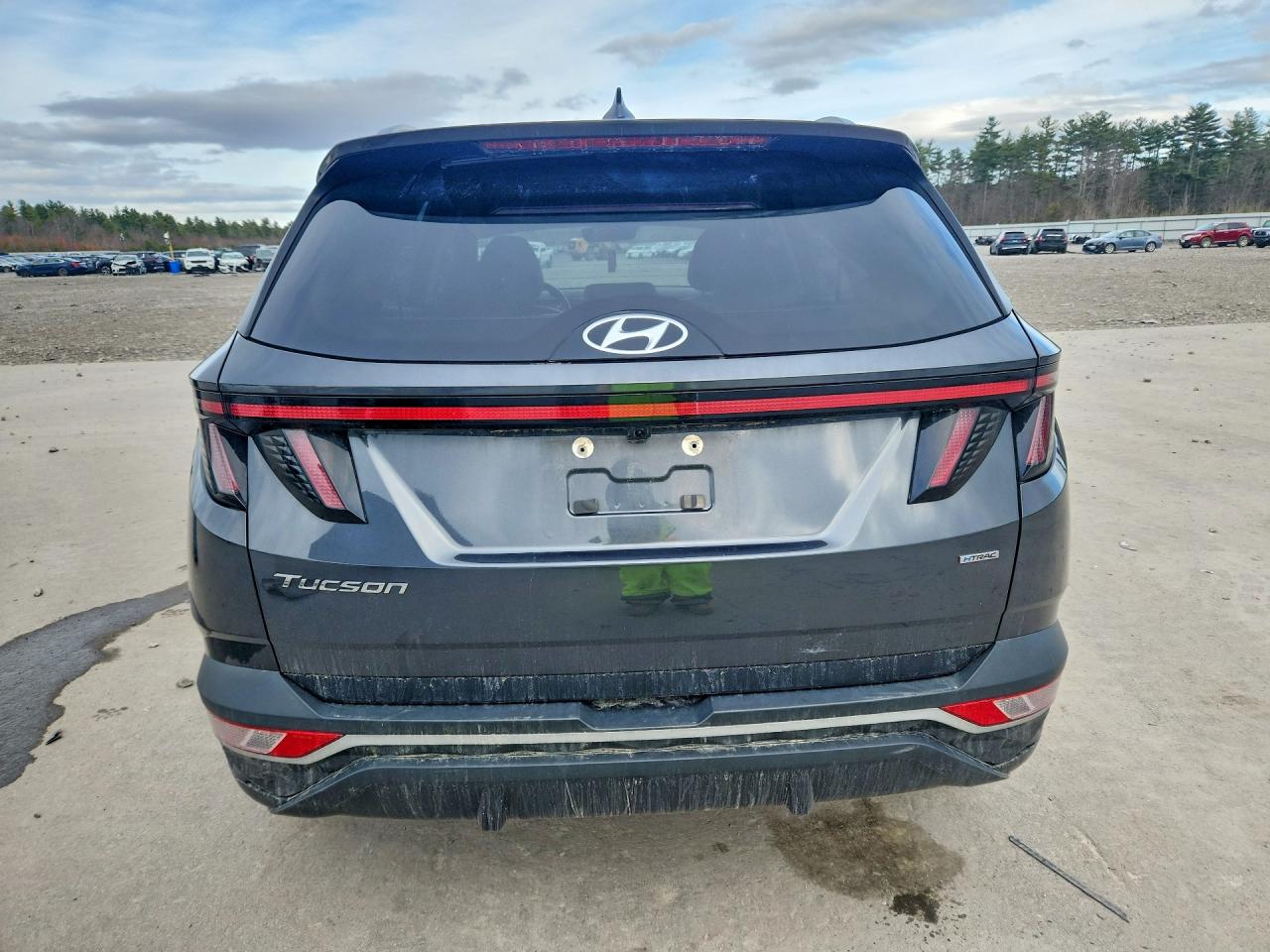 2024 HYUNDAI TUCSON