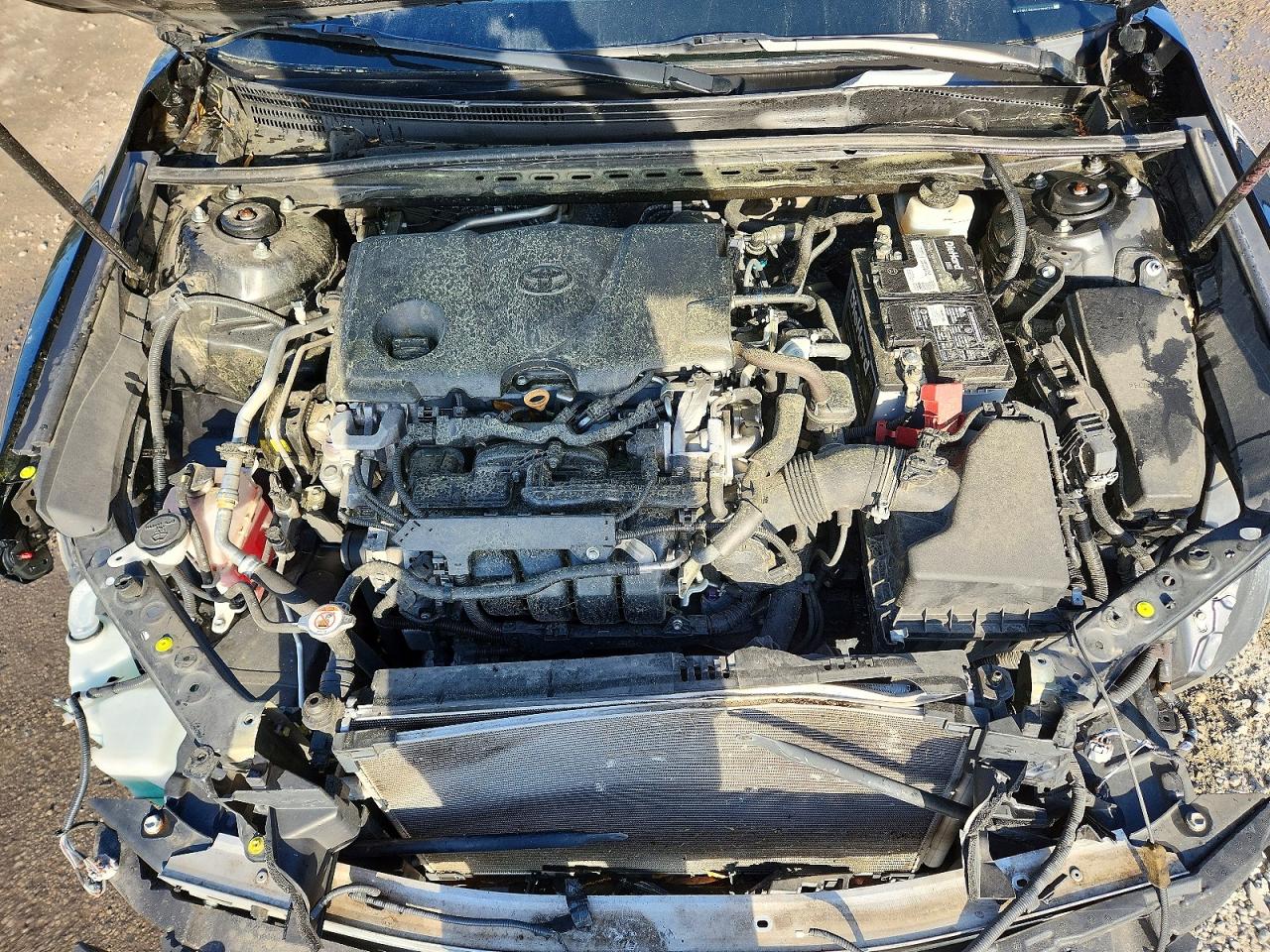 2019 TOYOTA CAMRY