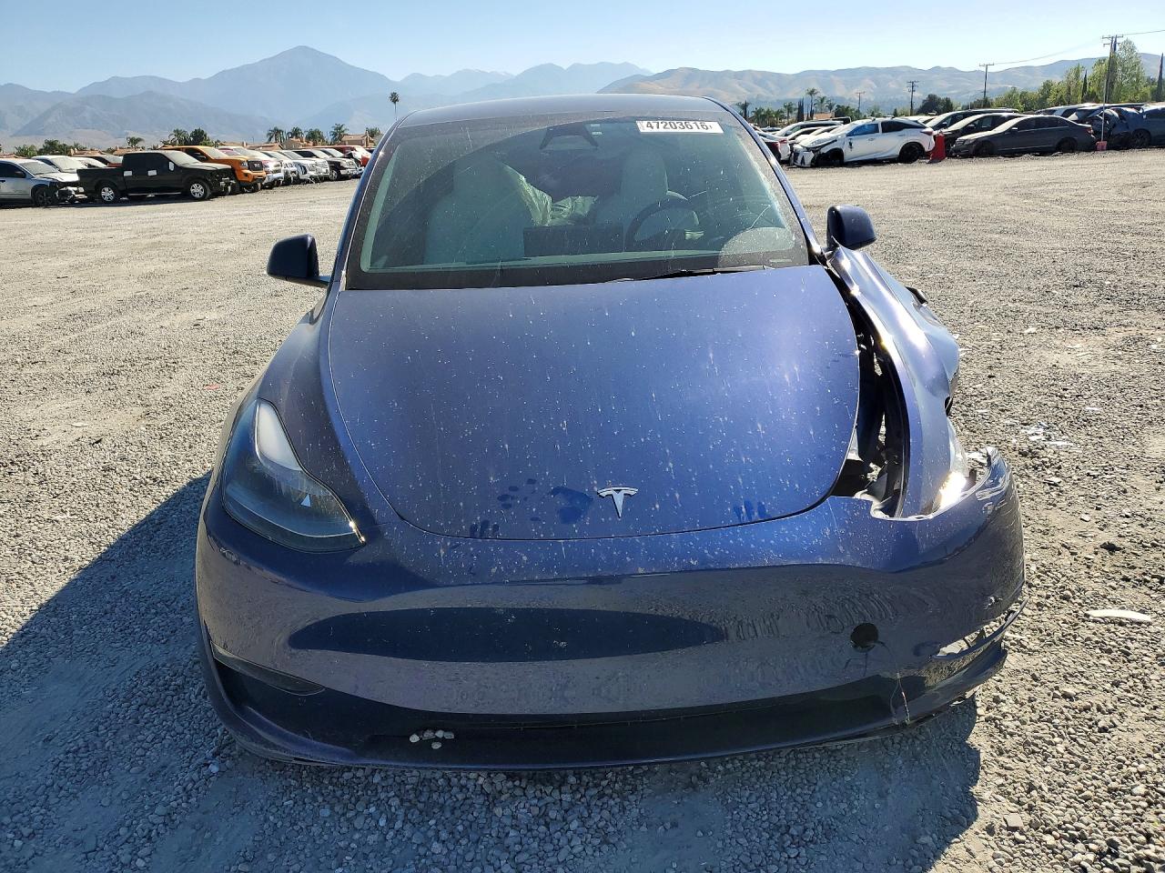 2024 TESLA MODEL Y
