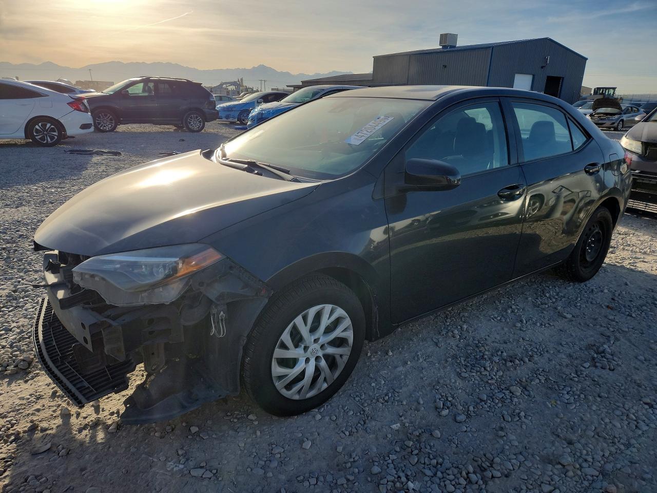 2019 TOYOTA COROLLA