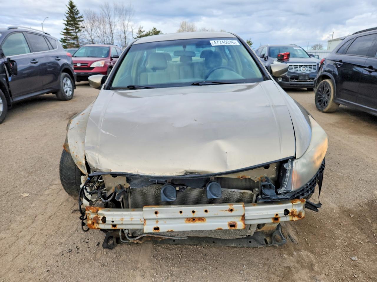 2009 HONDA ACCORD