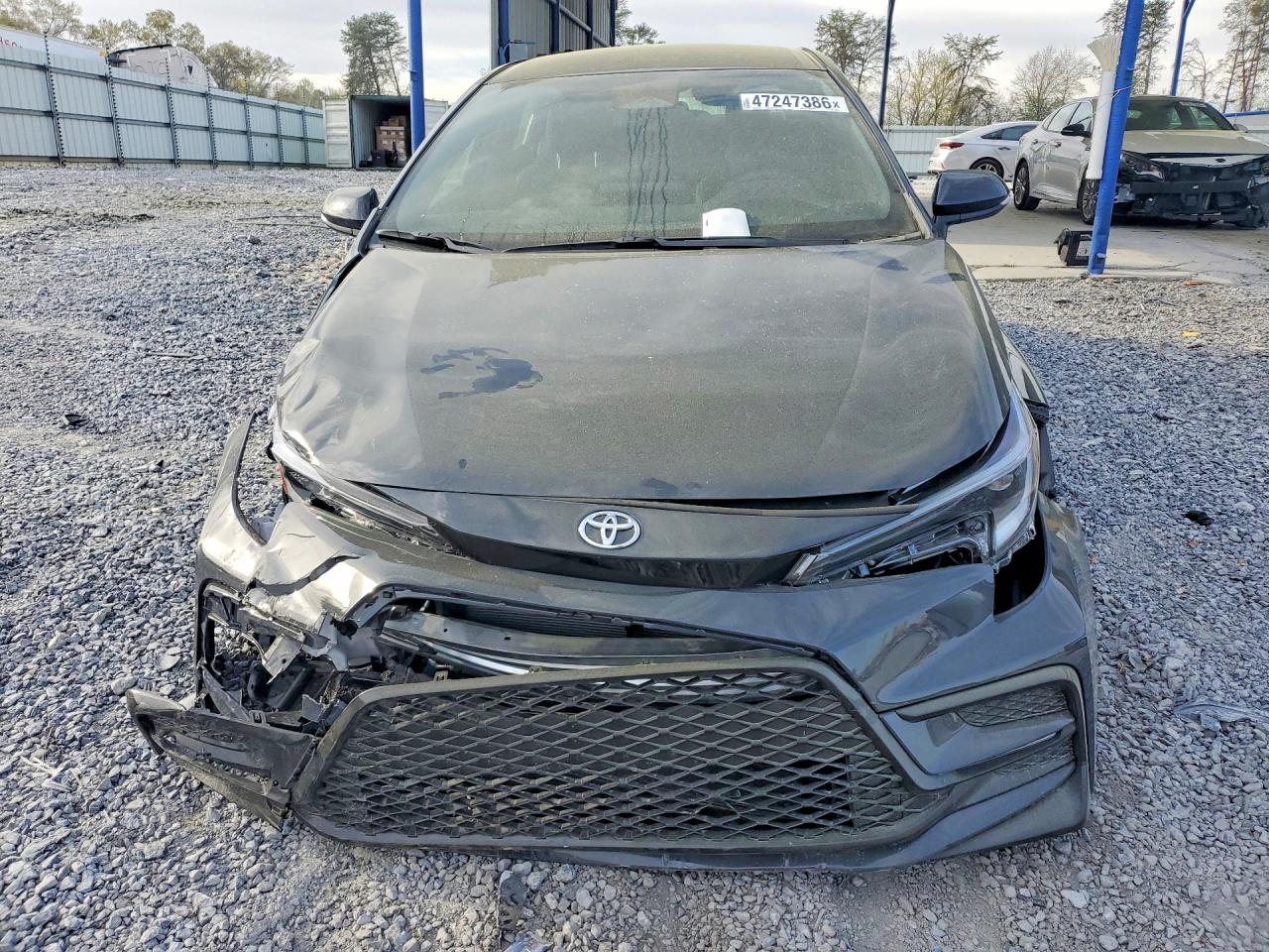 2026 TOYOTA COROLLA