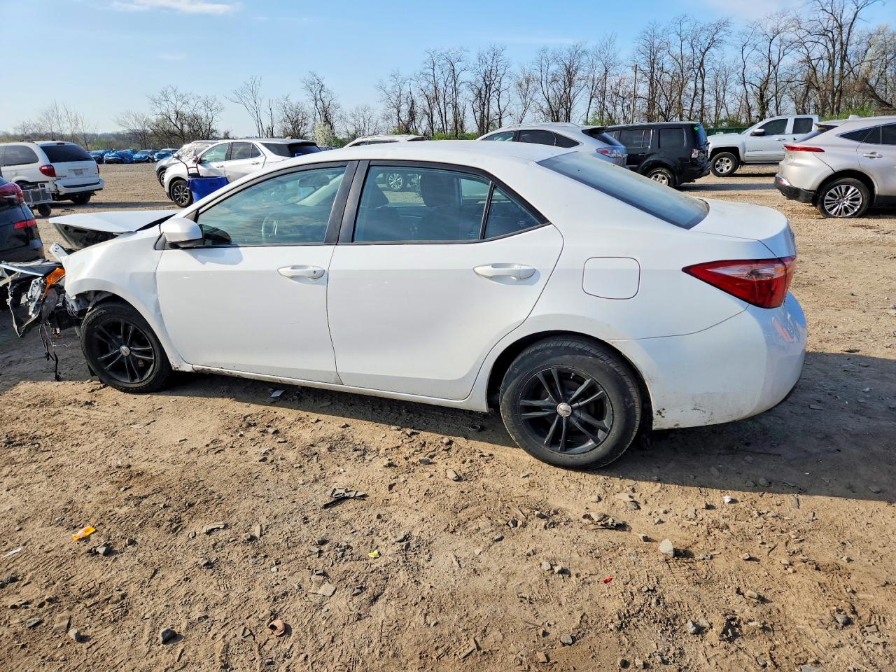 2019 TOYOTA COROLLA