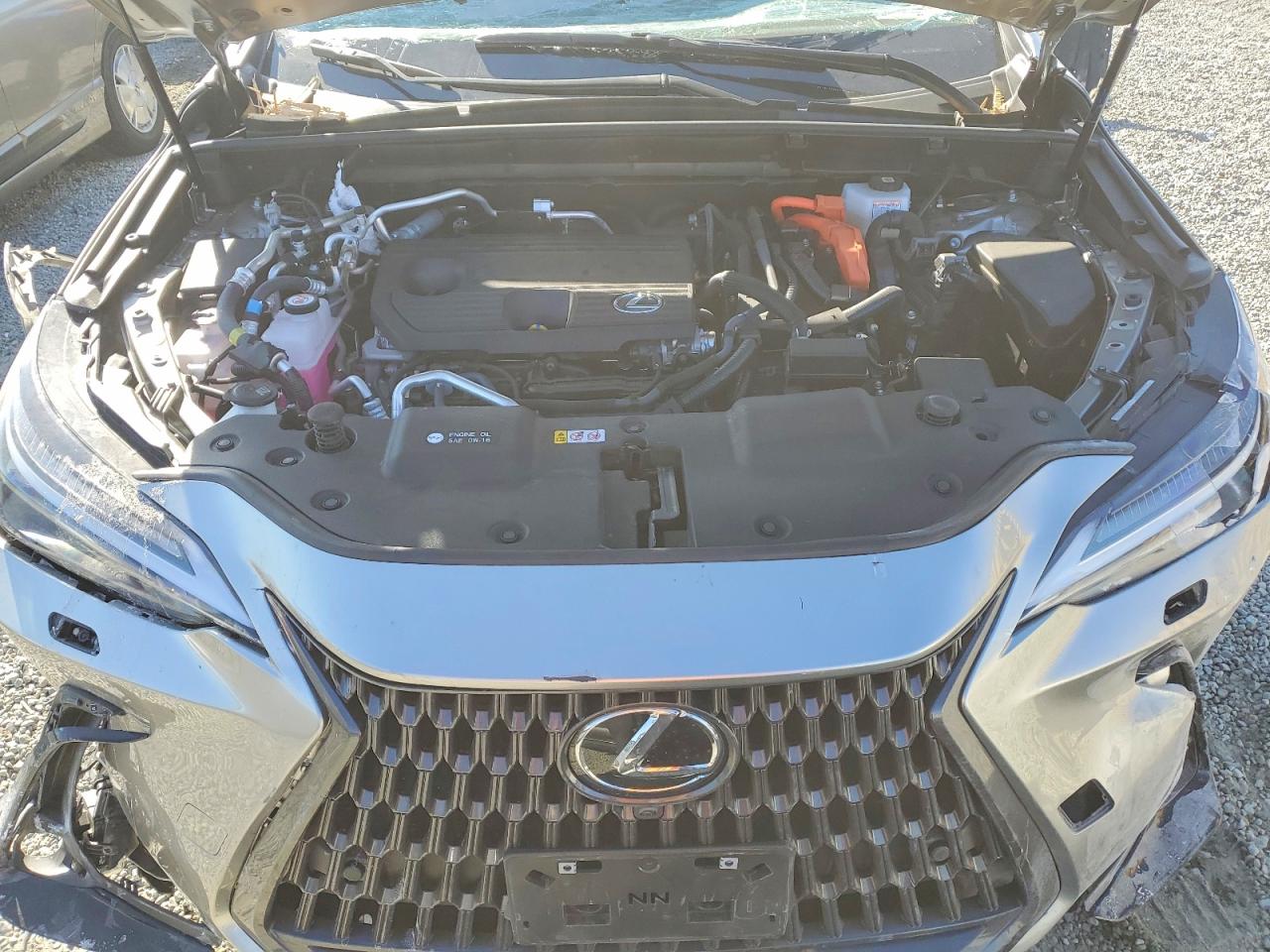 2025 LEXUS NX