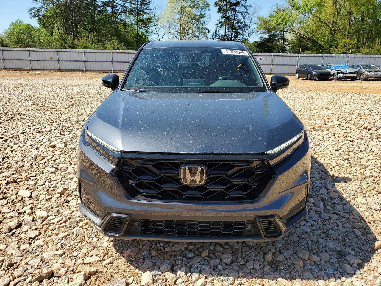 2025 HONDA CRV