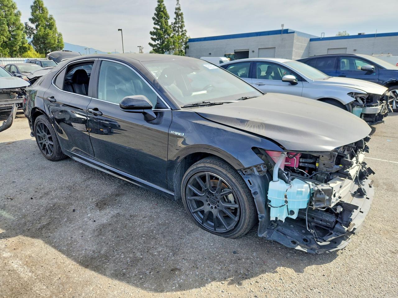 2021 TOYOTA CAMRY SOLA