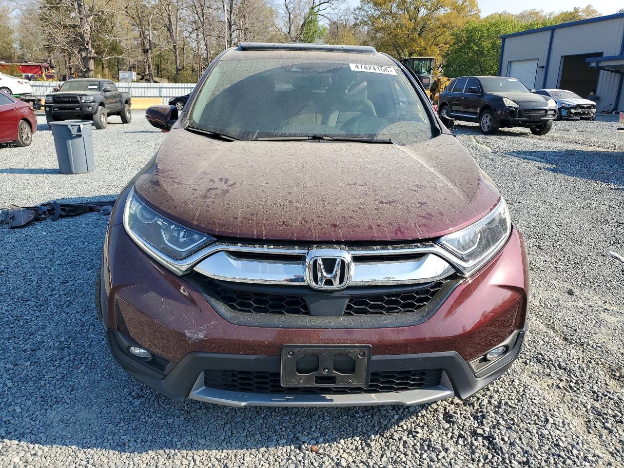 2019 HONDA CRV