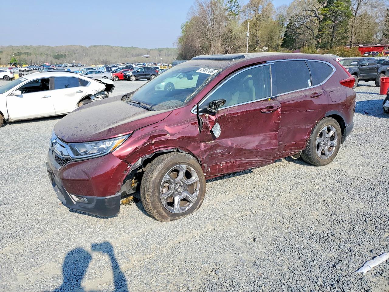 2019 HONDA CRV