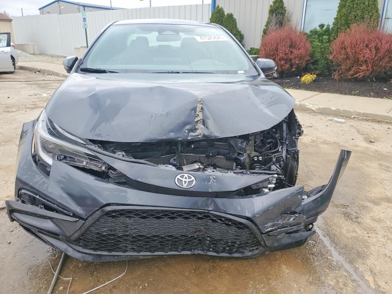 2025 TOYOTA COROLLA
